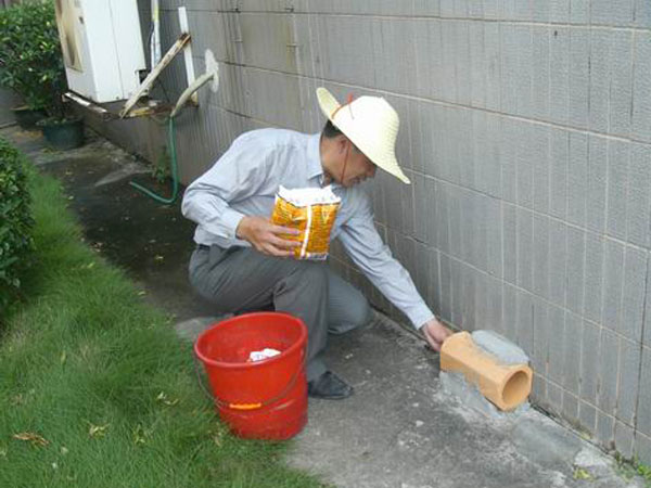 日照小區滅老鼠案例